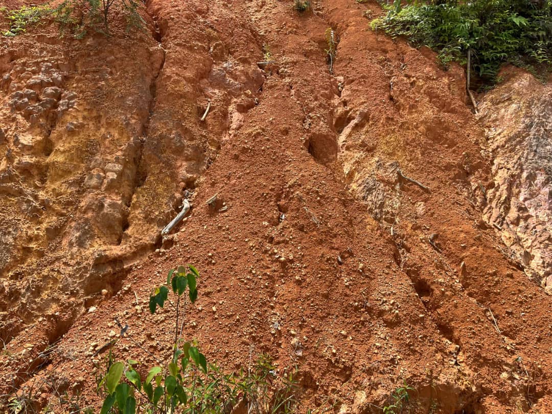 Gold and bauxite mining 23